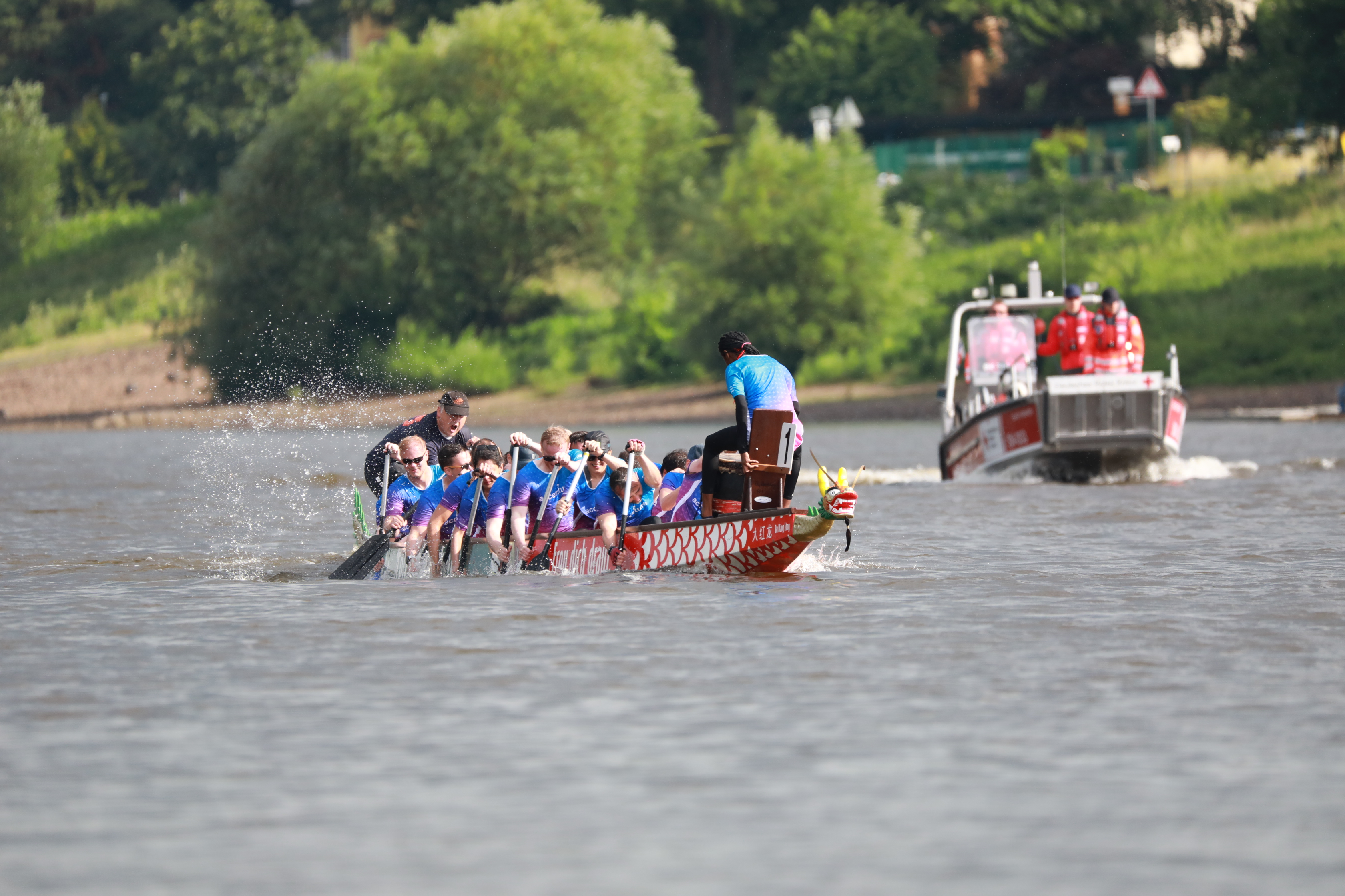 Dragon boat team on the Elbe in the painted red Feldschlösschen dragon boat